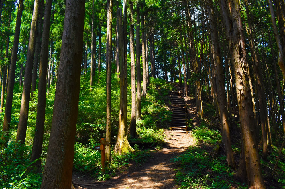 登山に行ってきました！